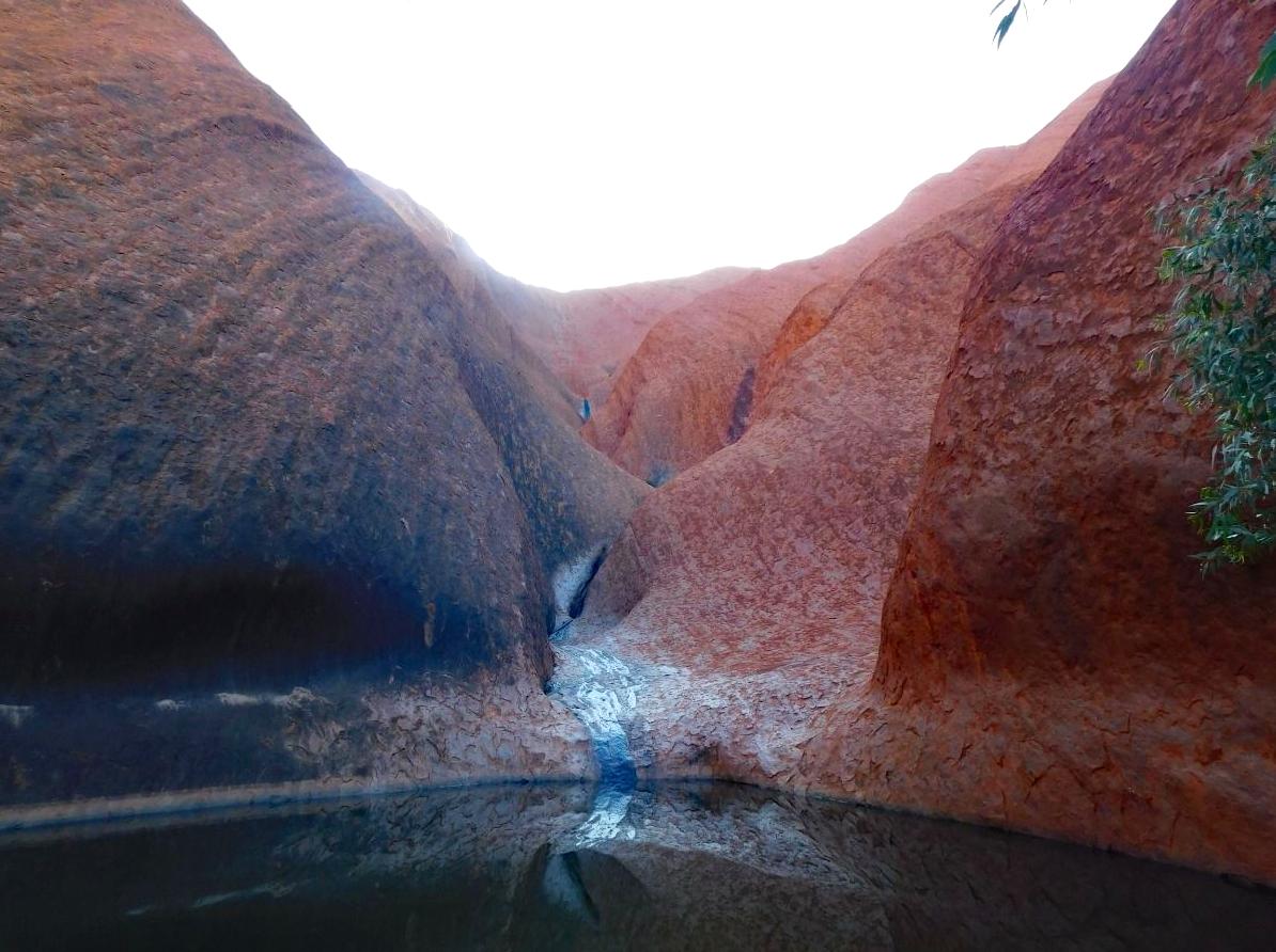 2008electionprocon | Discovering the Hidden Waterholes Around Uluru and Kata Tjuta