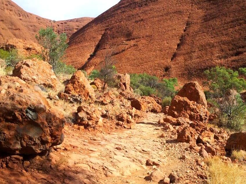 2008electionprocon | Discovering the Hidden Waterholes Around Uluru and Kata Tjuta