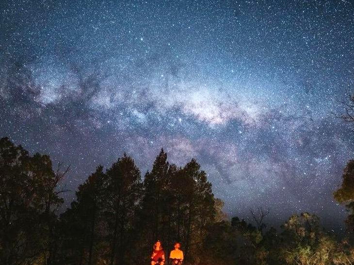 2008electionprocon | Camping Under the Stars in a Swag