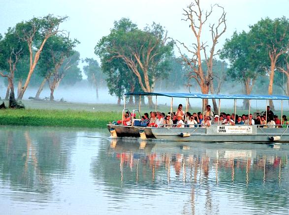 2008electionprocon | Yellow Water Cruise: Exploring Kakadu's Waterways