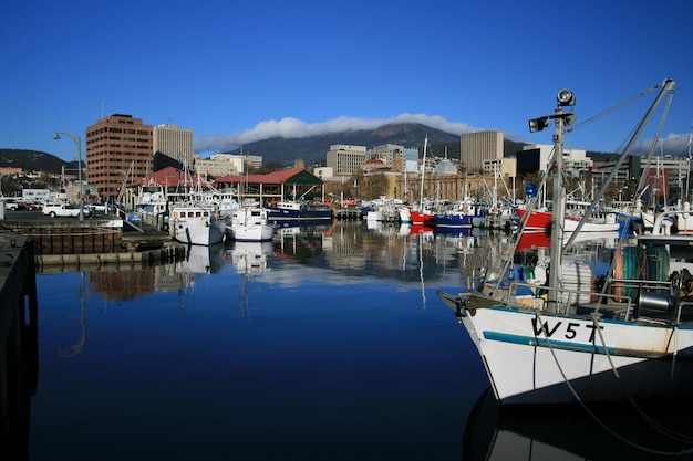 2008electionprocon | Discovering the Art and Culture of Hobart