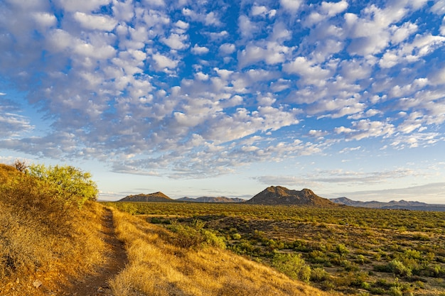 2008electionprocon | A Journey through the Nullarbor Plain: Australia's Remote Outback