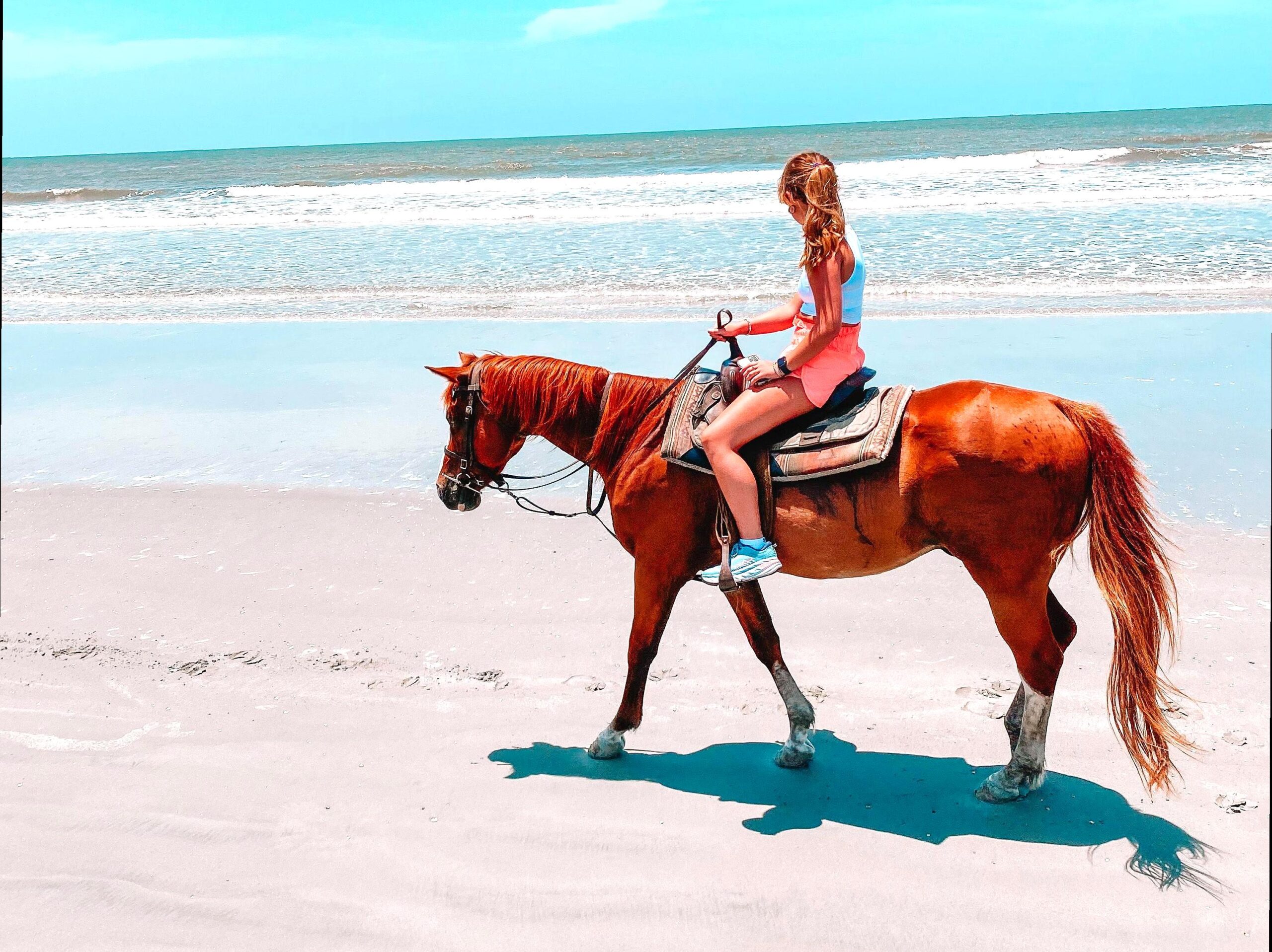 2008electionprocon | Horseback Riding on the Beaches of Phillip Island
