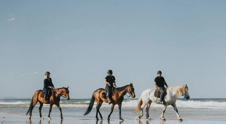 2008electionprocon | Horseback Riding on the Beaches of Phillip Island