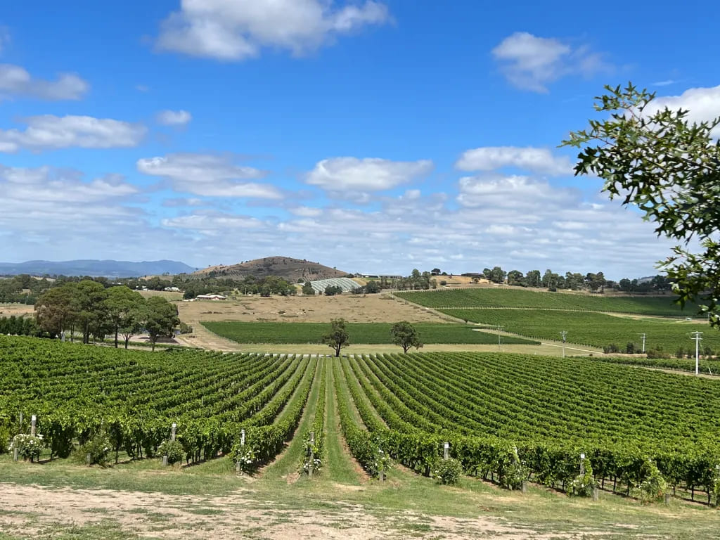 2008electionprocon | Exploring the Yarra Valley: Wine, Food, and Scenic Drives