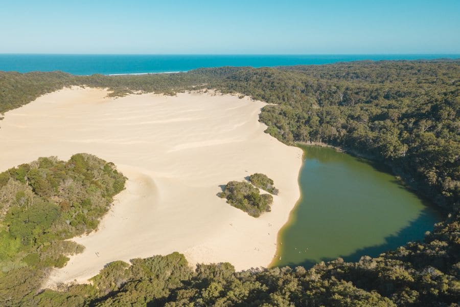 2008electionprocon | The Beauty of : Sand Dunes and Rainforests