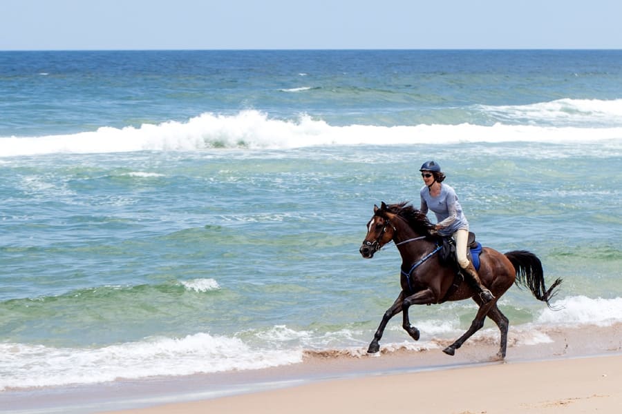 2008electionprocon | Horseback Riding on the Beaches of Phillip Island