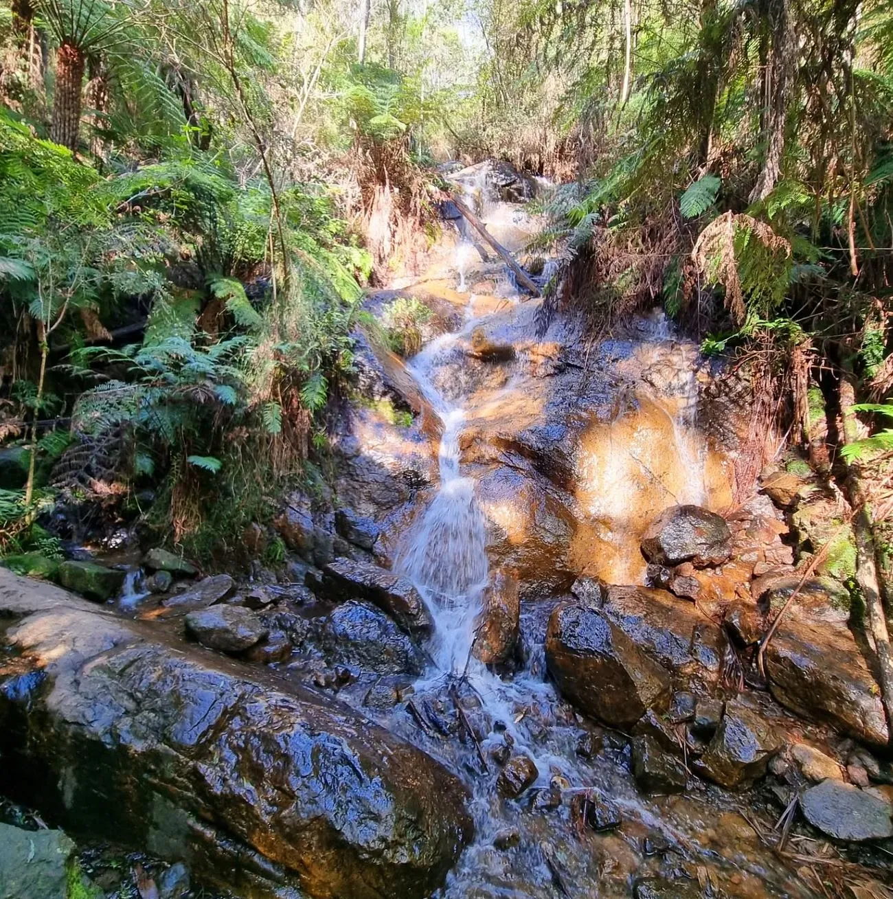 La La Falls