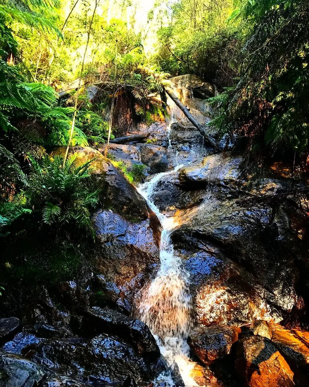 2008electionprocon|Secret Places in Upper Yarra Valley – Best Hidden Gems